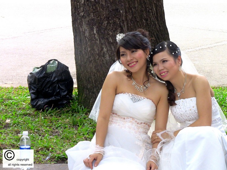 Brides -Vietnam